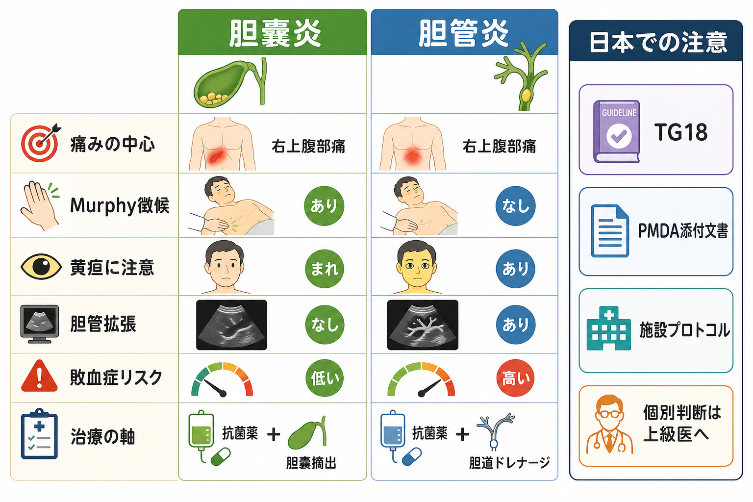 胆嚢炎と胆管炎の比較と日本での注意