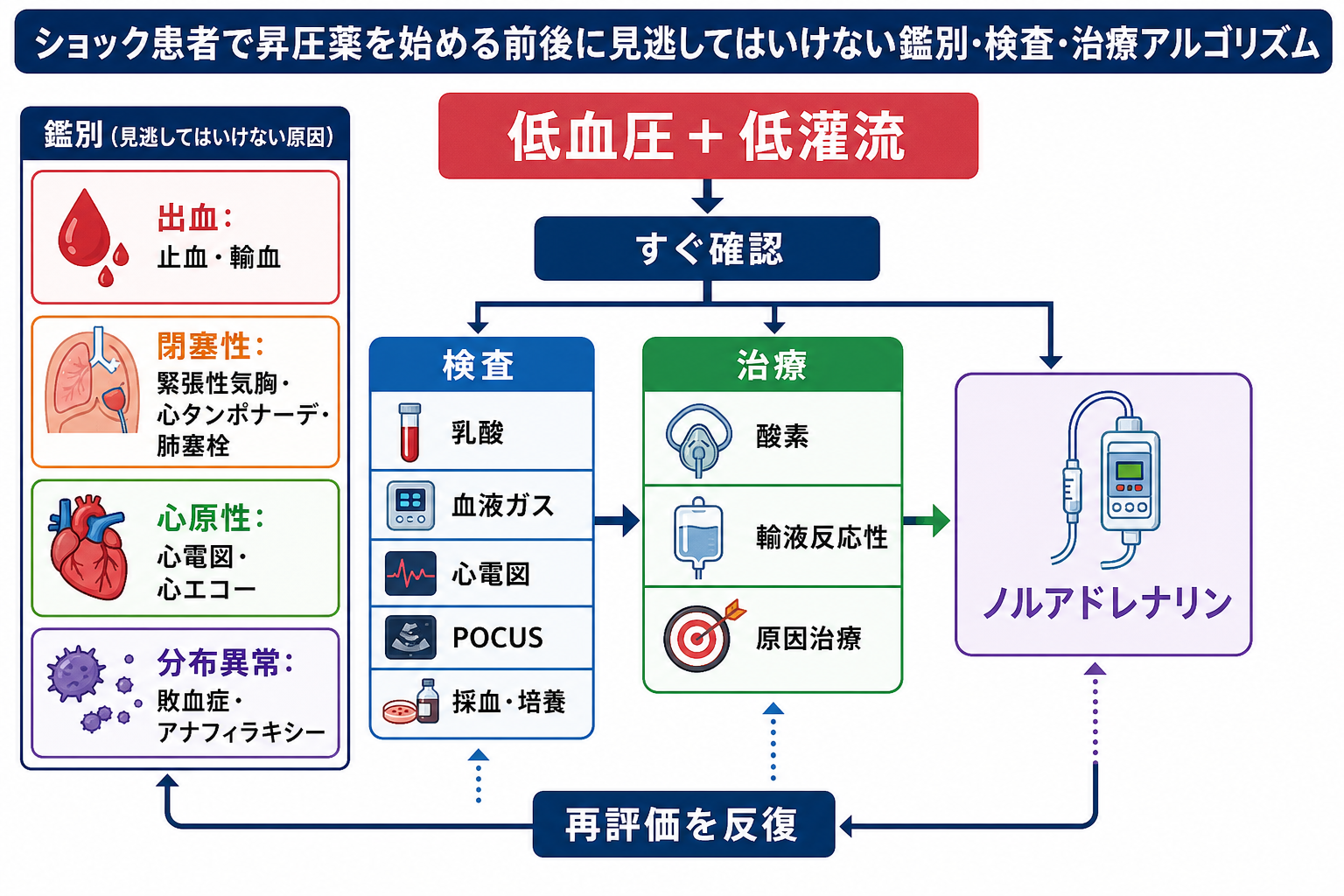 ショック患者で昇圧薬を始める前後の鑑別・検査・治療アルゴリズム