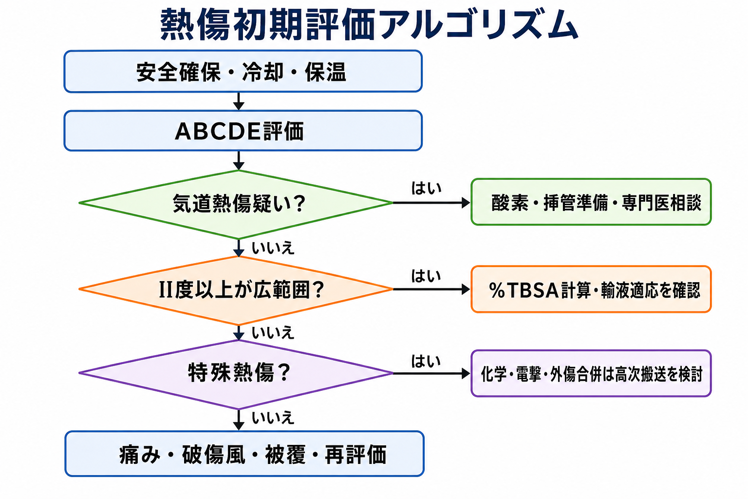 熱傷初期評価アルゴリズム