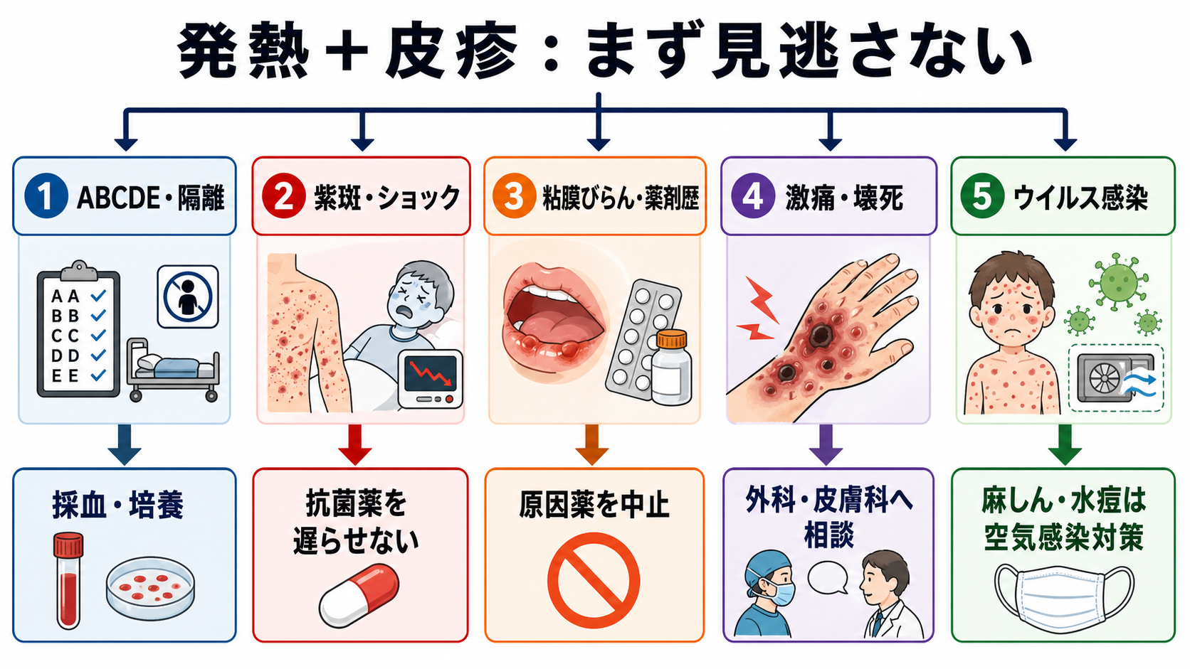 発熱と皮疹の初期判断フロー